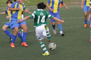 乐鱼体育app官网入口-中国足球亚冠：上海申花逆转晋级，燃爆现场热潮，亚冠小组赛上海申花